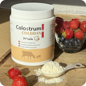 Colostrum Pulver